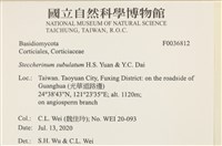 登錄號:F0036812藏品圖，第2張
