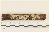 登錄號:F0036812藏品圖，第1張
