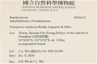 登錄號:F0036813藏品圖，第2張