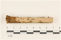 登錄號:F0036813藏品圖，第1張