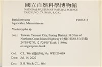 館號:F0036816藏品圖，第2張