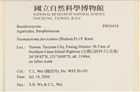 登錄號:F0036818藏品圖，第2張
