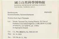 登錄號:F0036820藏品圖，第2張