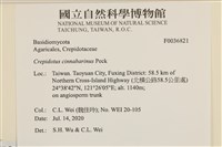 登錄號:F0036821藏品圖，第2張