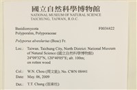 登錄號:F0036822藏品圖，第2張