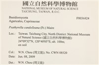 登錄號:F0036824藏品圖，第2張