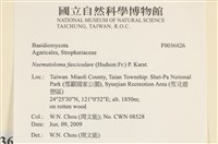 登錄號:F0036826藏品圖，第2張