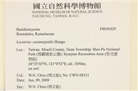 登錄號:F0036829藏品圖，第2張