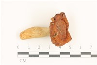 登錄號:F0036830藏品圖，第1張