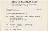 登錄號:F0036831藏品圖，第2張