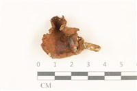 登錄號:F0036831藏品圖，第1張