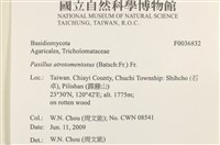 登錄號:F0036832藏品圖，第2張