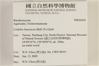 登錄號:F0036834藏品圖，第2張