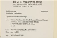 登錄號:F0036835藏品圖，第2張