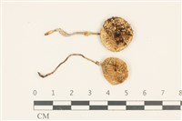 登錄號:F0036835藏品圖，第1張