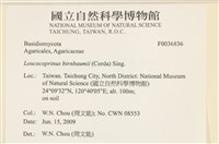 登錄號:F0036836藏品圖，第2張