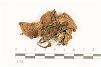 登錄號:F0036836藏品圖，第1張