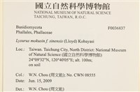 登錄號:F0036837藏品圖，第2張