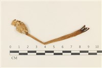 登錄號:F0036837藏品圖，第1張
