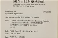 登錄號:F0036838藏品圖，第2張