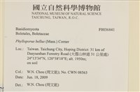 登錄號:F0036841藏品圖，第2張