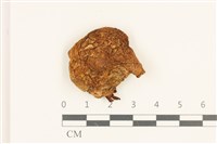 登錄號:F0036841藏品圖，第1張