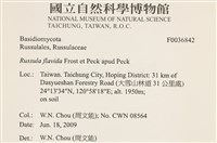登錄號:F0036842藏品圖，第2張