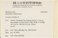 登錄號:F0036844藏品圖，第2張