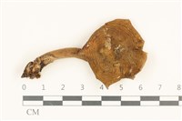 登錄號:F0036844藏品圖，第1張