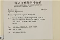 館號:F0036845藏品圖，第2張