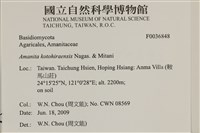 登錄號:F0036848藏品圖，第2張