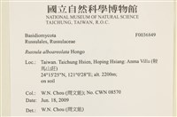 登錄號:F0036849藏品圖，第2張