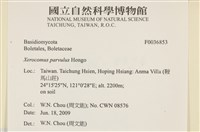 登錄號:F0036853藏品圖，第2張