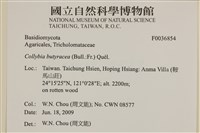 登錄號:F0036854藏品圖，第2張