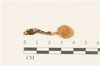 登錄號:F0036855藏品圖，第1張