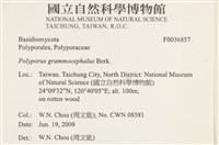 登錄號:F0036857藏品圖，第2張