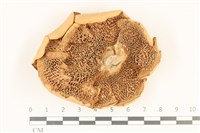 登錄號:F0036857藏品圖，第3張