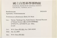 登錄號:F0036858藏品圖，第2張