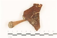 登錄號:F0036858藏品圖，第1張