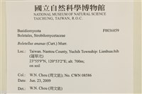 登錄號:F0036859藏品圖，第2張