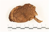 登錄號:F0036859藏品圖，第1張