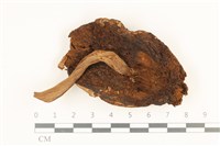 登錄號:F0036859藏品圖，第3張