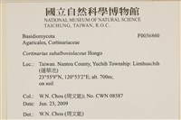 登錄號:F0036860藏品圖，第2張