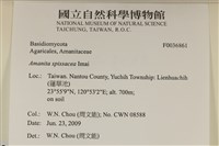 登錄號:F0036861藏品圖，第2張