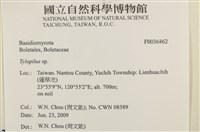 登錄號:F0036862藏品圖，第2張