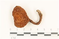 登錄號:F0036863藏品圖，第1張