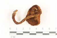 登錄號:F0036863藏品圖，第3張