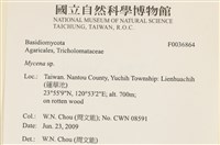 小菇屬藏品圖，第2張