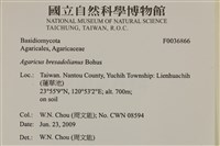 登錄號:F0036866藏品圖，第2張