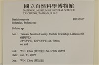 登錄號:F0036867藏品圖，第2張